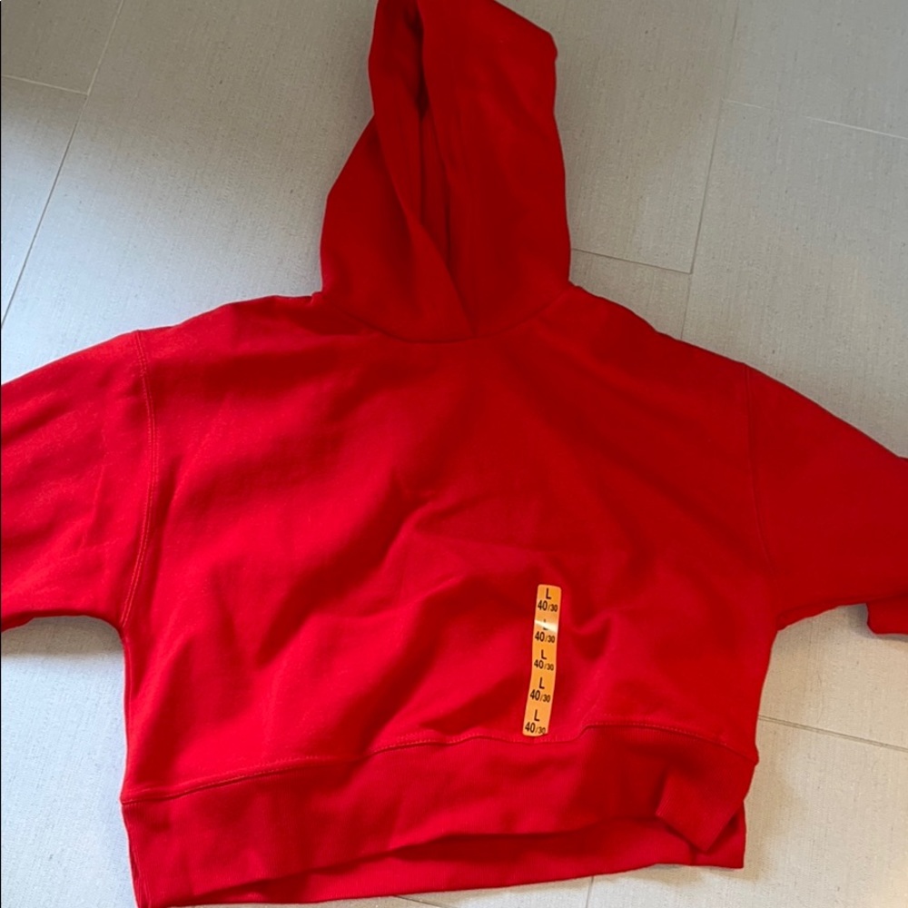 Zara Cropped Hoodie